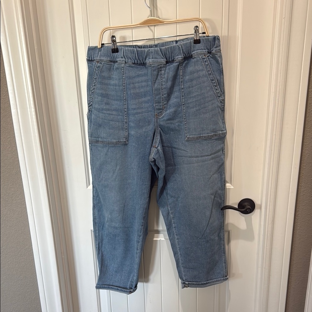 Madewell Blue Flare Wide Leg Jeans